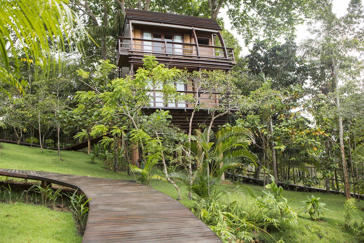 Mirante Do Gaviao Amazon Lodge Novo Airão Buitenkant foto
